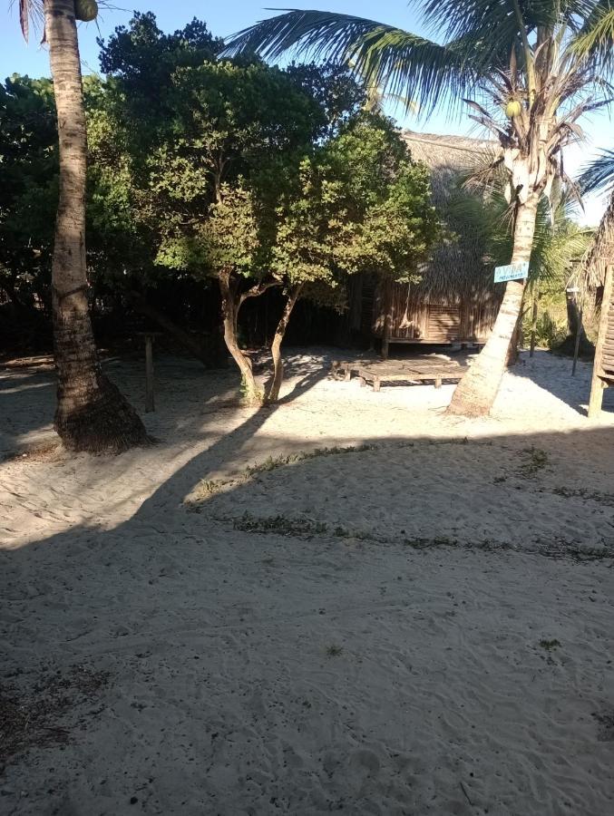 Campsite Sabia